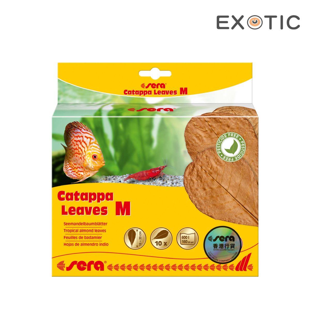 Catappa Leaves M (16-20cm) 10pcs