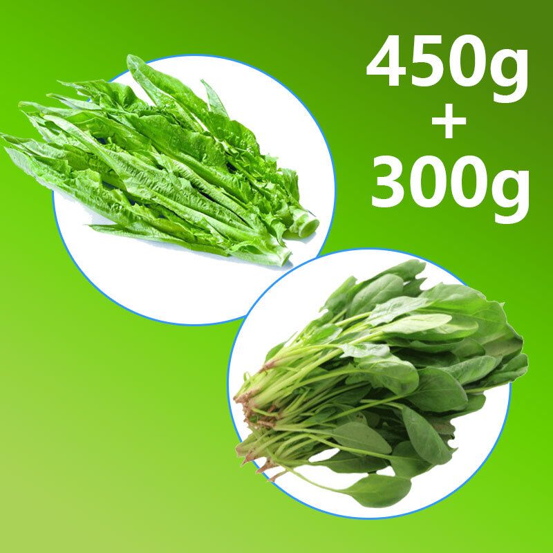 Local Vegetable Pack M (lettuce x450g, spinach x300g)