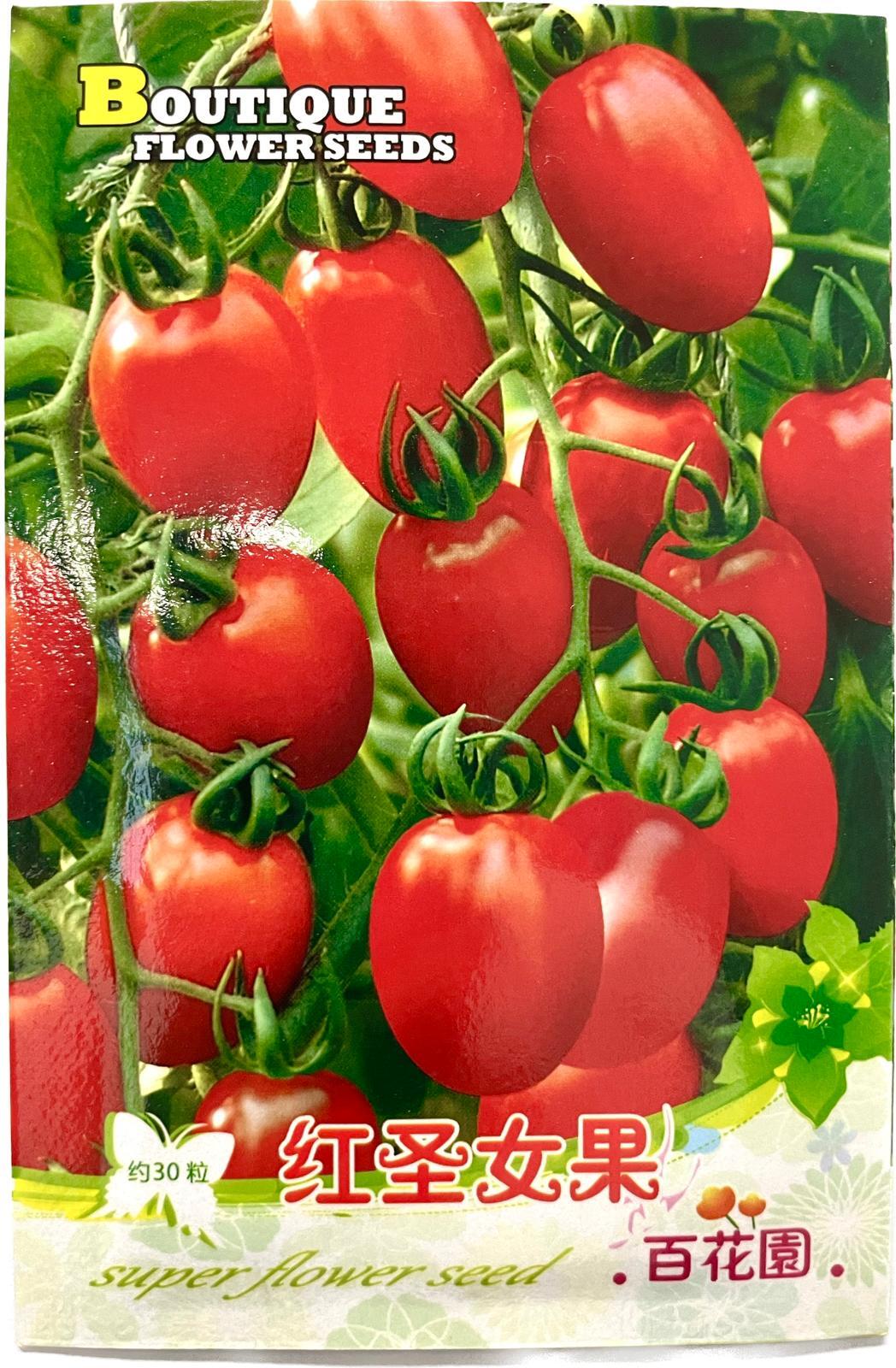 Cherry tomato seeds ( 2packs )