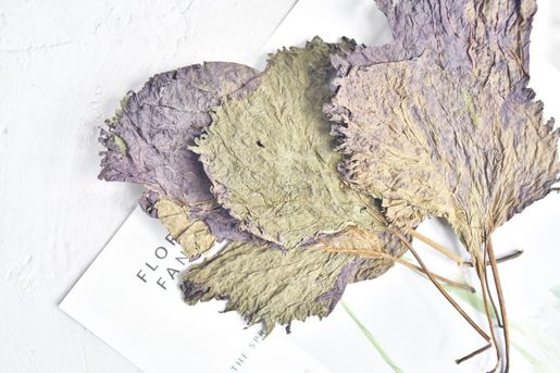 High Tea養生 大閘蟹伴侶 紫蘇葉 25g 清熱消炎行氣和胃 Hktvmall 香港最大網購平台