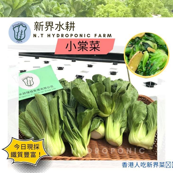 香港菜園-小棠菜 (300g)