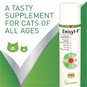 Vetoquinol | Enisyl-F® Oral Paste for Cats (Lysine) [US Version] 100ml -  Cat Supplement | HKTVmall The Largest HK Shopping Platform