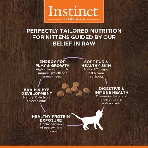 Instinct original kitten grain free recipe natural hotsell cat food