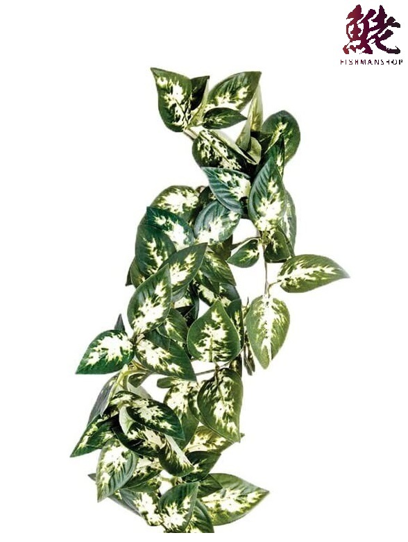 KOMODO Borneo Hanging Vine 13cm ＃(462059)