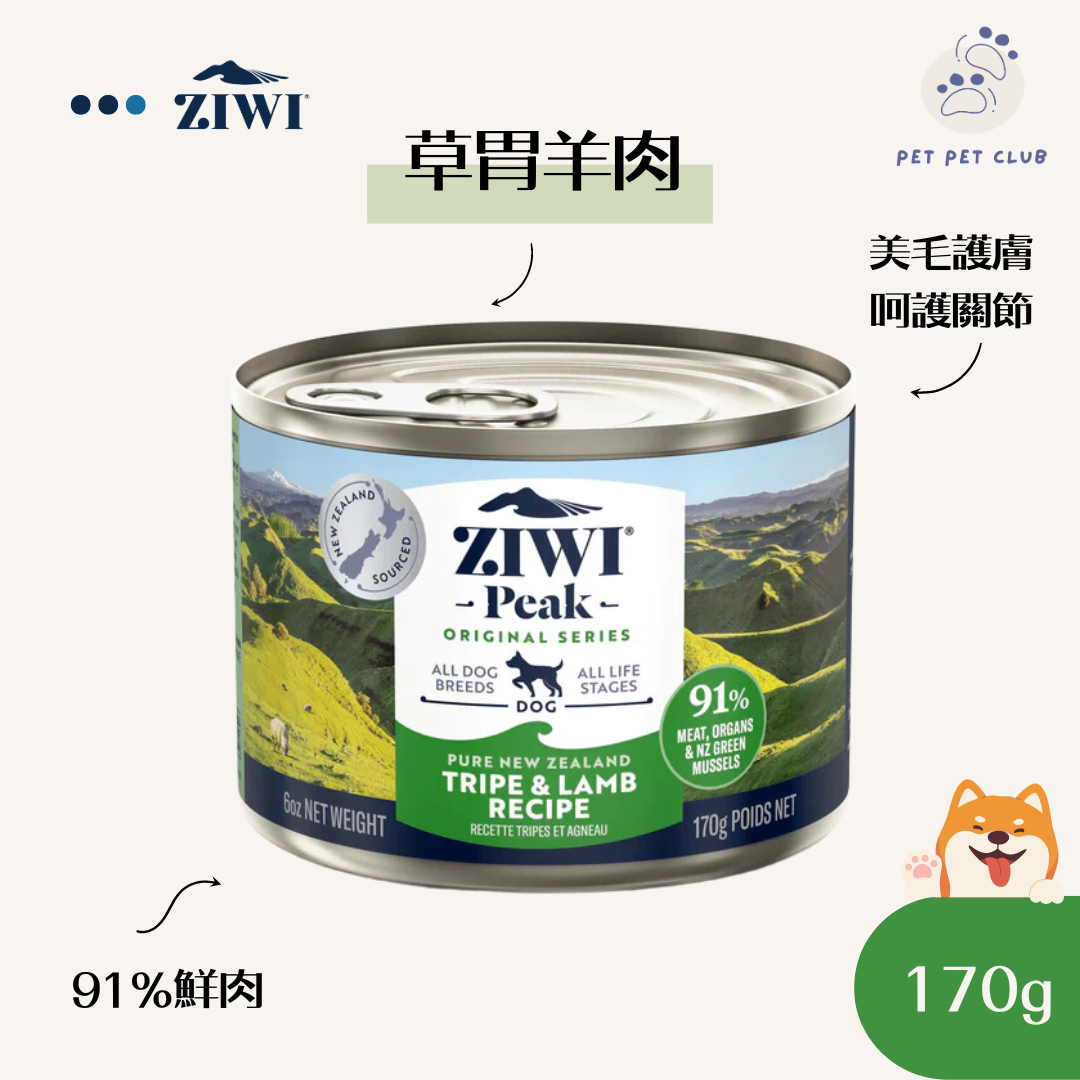 Wet Tripe & Lamb Recipe for Dogs 170g 