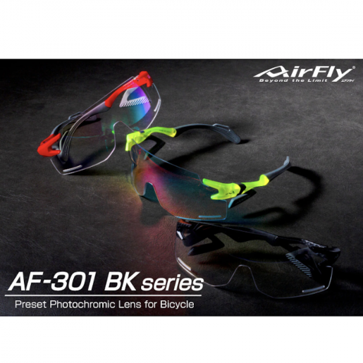 AirFly | Sunglasses AF-301 C-31BK (Made In Japan) | HKTVmall The