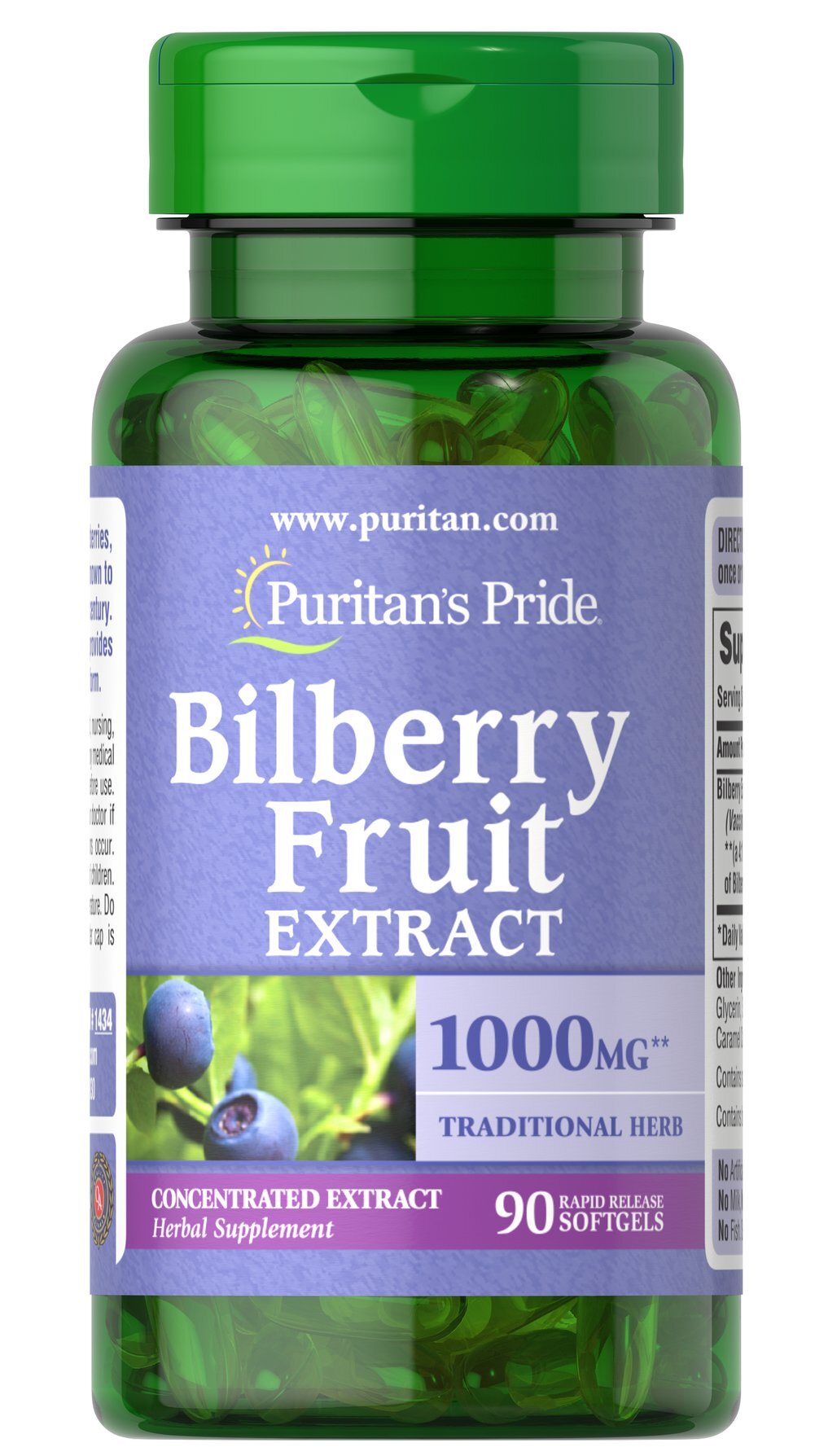 Bilberry Fruit Extract 250mg 90s