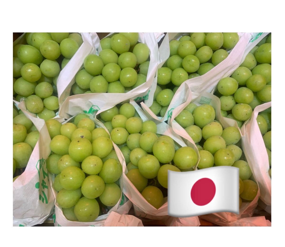 日本香印提子(1串) (約400-500克)