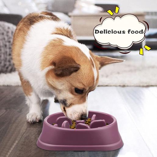 Dog Slow Feeder Bowl, Slow Eating Dog Bowl for Medium Large Dogs,Pet Fun  Puzzle Slow Feed Non Slip Interactive Bloat Stop Dog Food Bowl