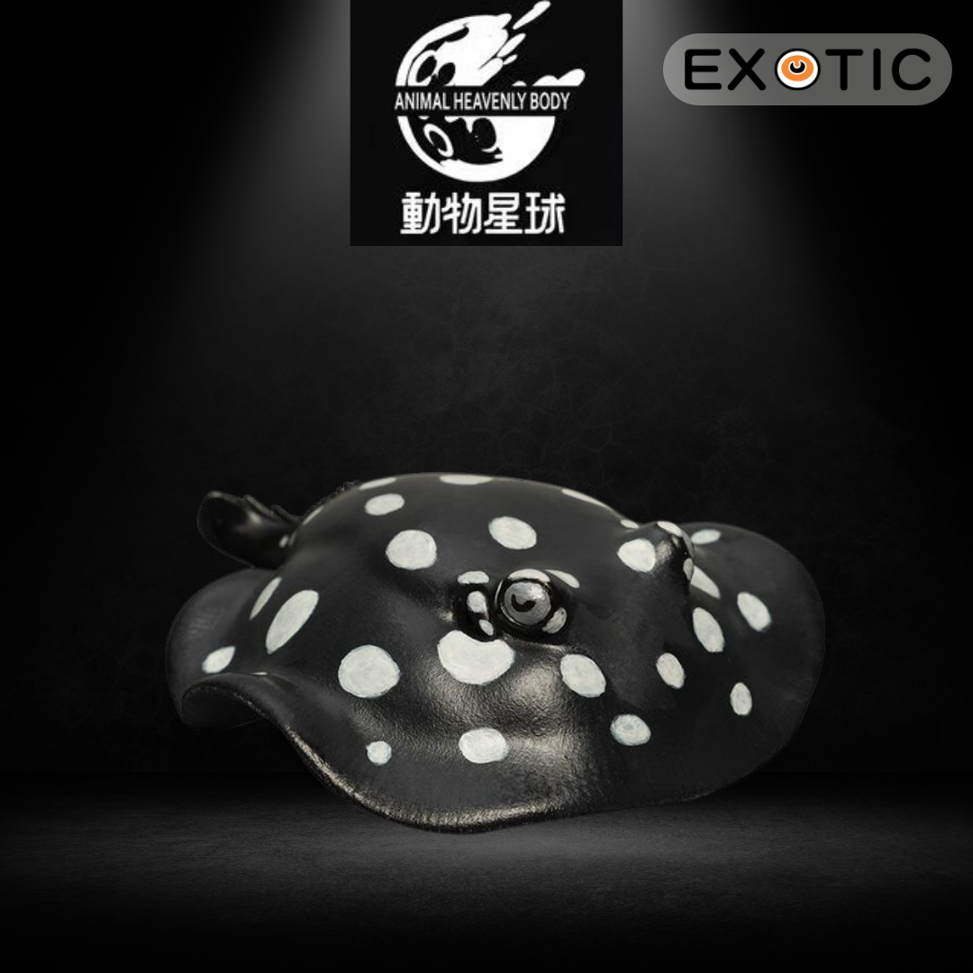 動物星球 心寬體胖系列 第12彈 黑白珍珠魟 Q版動物模型 魚模型