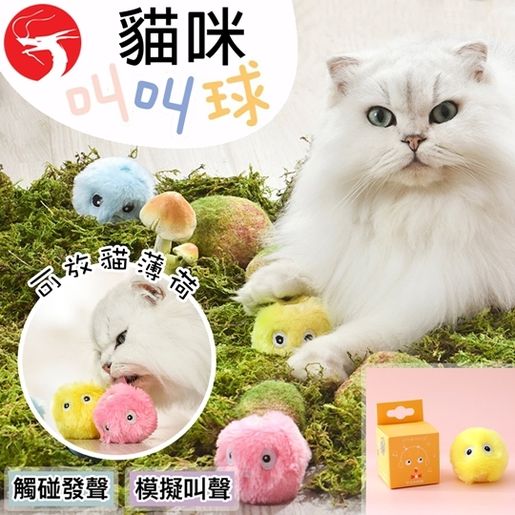 Grasshopper cat outlet toy