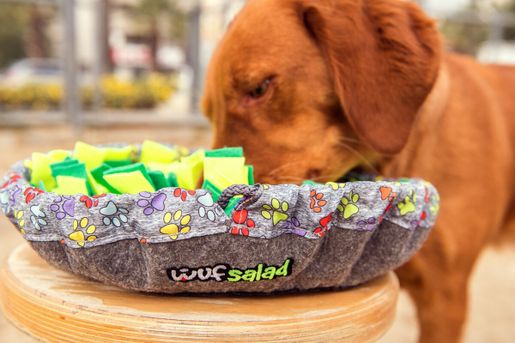 Salad Bowl Dog Snuffle Mat