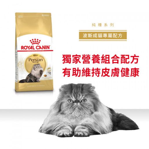 Persian cat clearance dry food